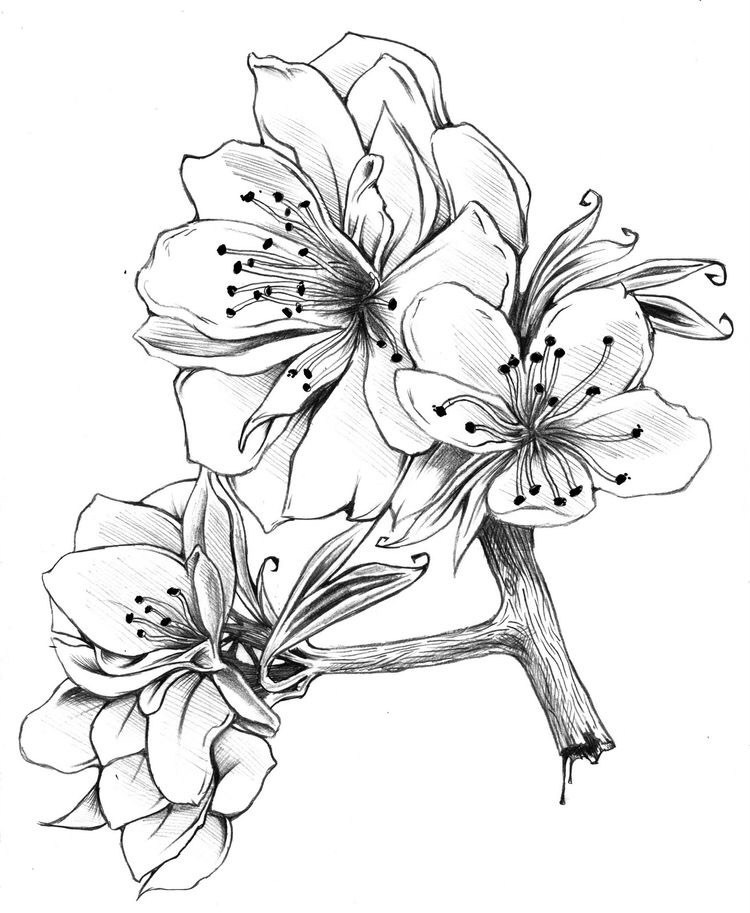 分享一组美丽的插花创意，画出不同的花朵。