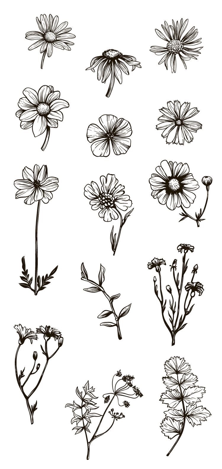 分享一组美丽的插花创意，画出不同的花朵。