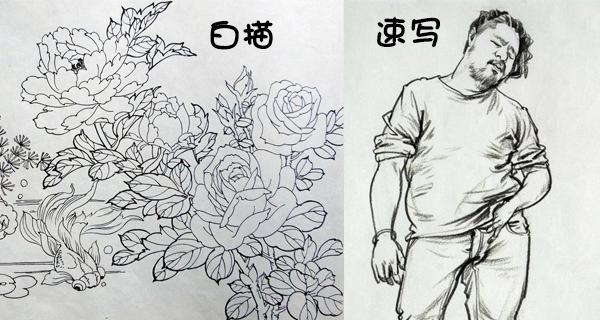 素描入门认识一下白描和速写的分别