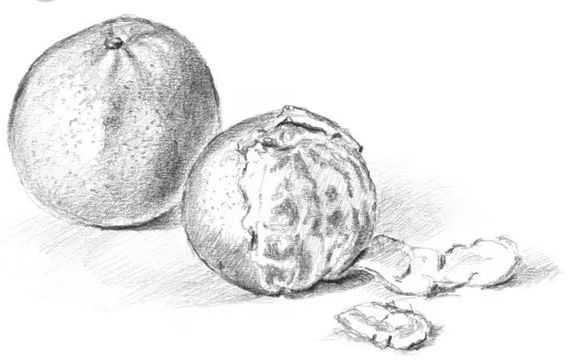 夏日水果素描第二弹,橘子、菠萝、葡萄、柠檬