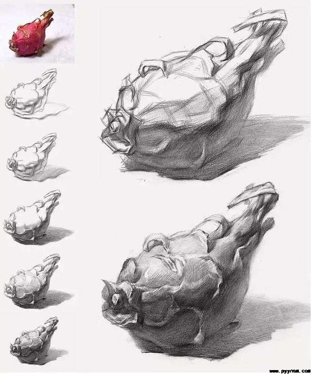 素描火龙果步骤图