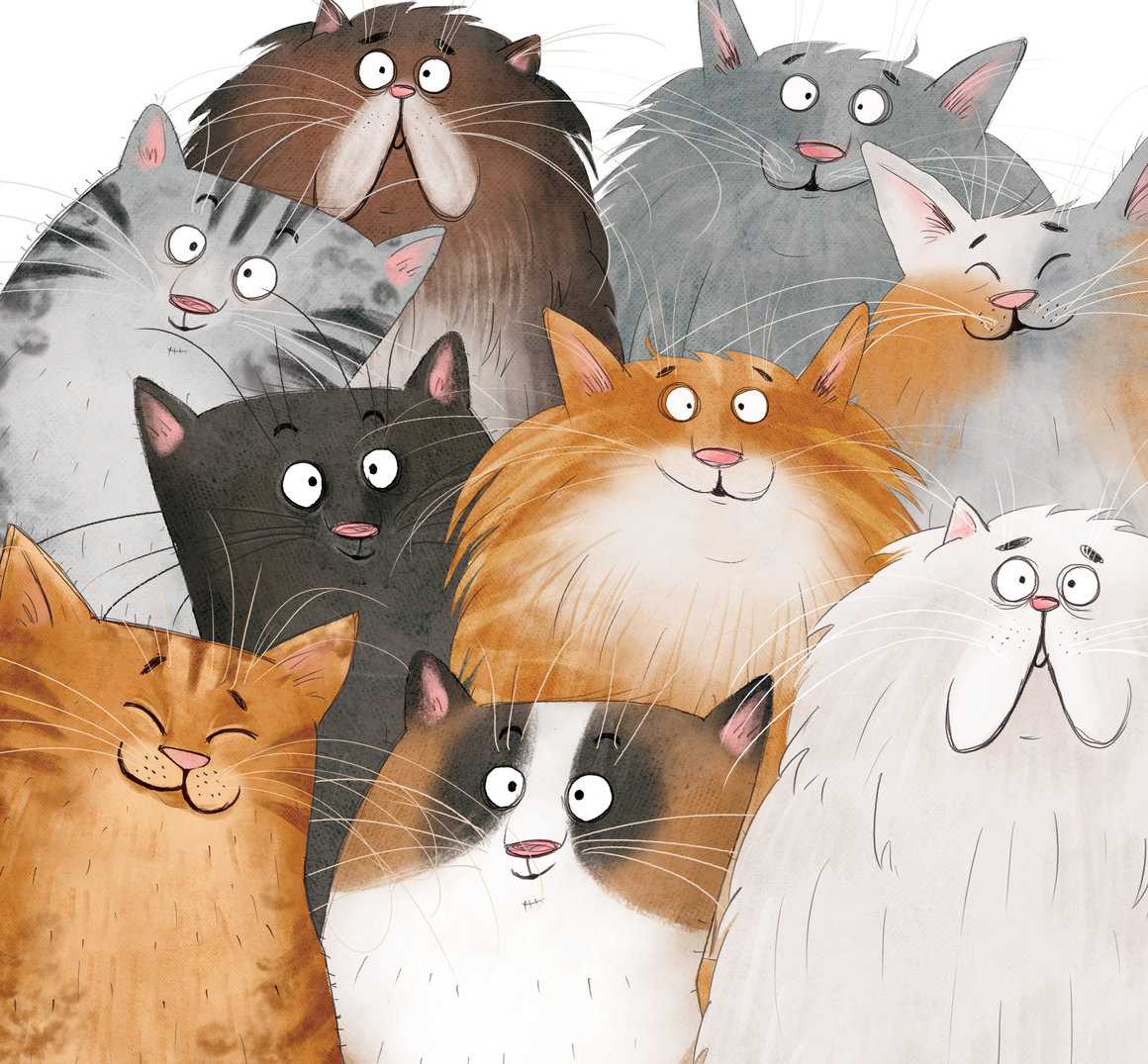 猫咪手绘小插图