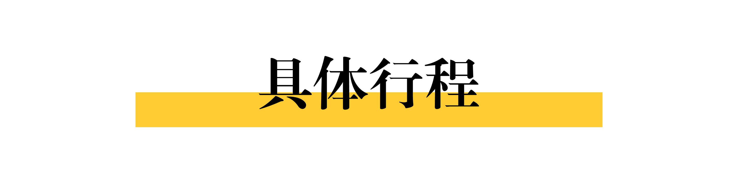 东京6日游来啦！｜动漫机器人见学之旅等你来