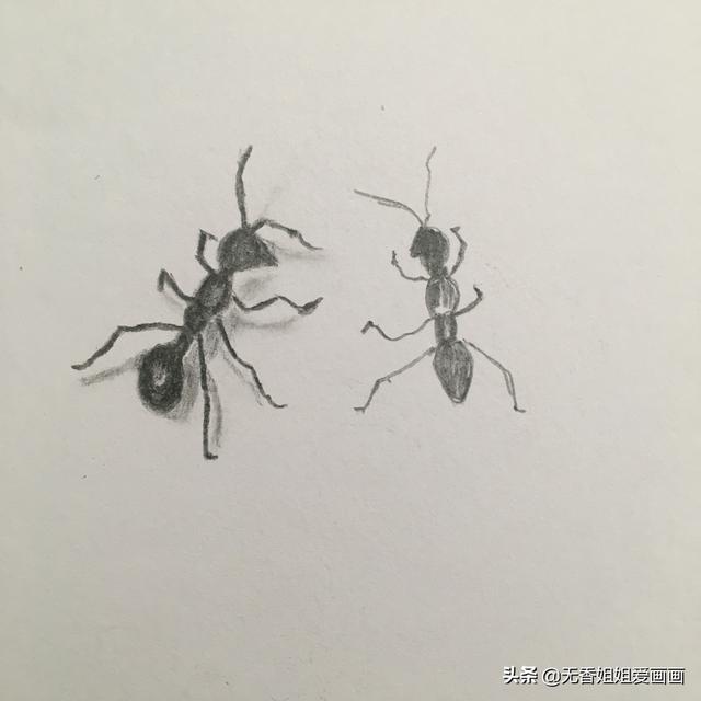 教小朋友绘画非常逼真的《小蚂蚁》，妈妈记得要为孩子收藏噢 ...