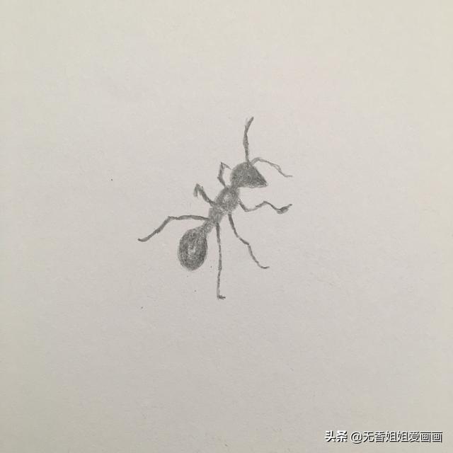 教小朋友绘画非常逼真的《小蚂蚁》，妈妈记得要为孩子收藏噢 ...