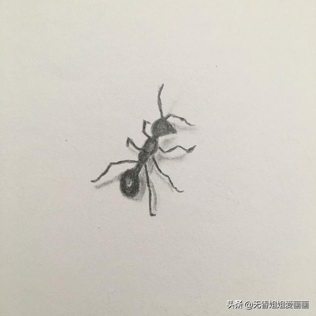 教小朋友绘画非常逼真的《小蚂蚁》，妈妈记得要为孩子收藏噢 ...