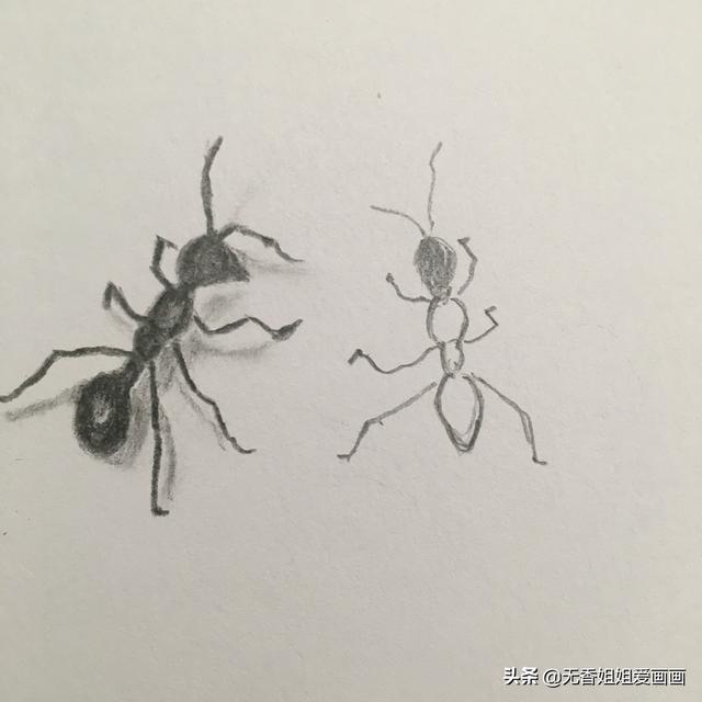 教小朋友绘画非常逼真的《小蚂蚁》，妈妈记得要为孩子收藏噢 ...