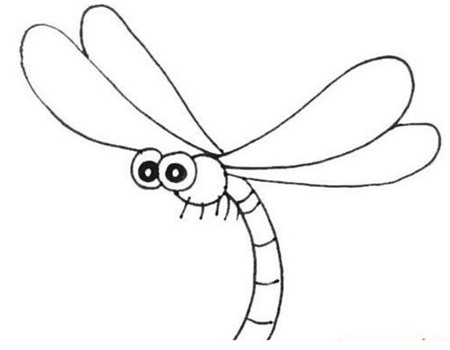 画一只简笔画蜻蜓