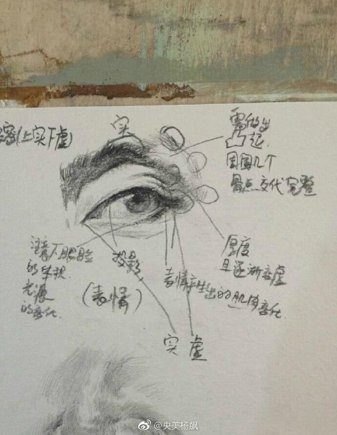 素描五官的画法教程