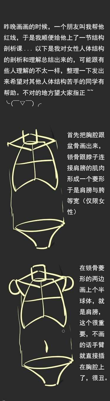 动漫女体结构教学