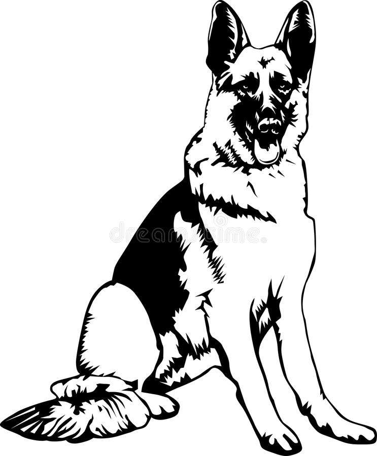 德国牧羊犬 警犬黑背插画图片