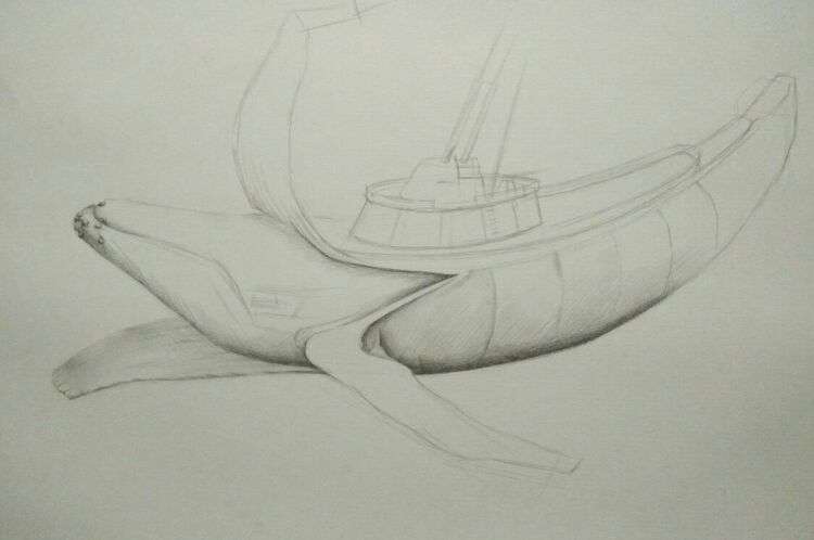 创意鲸鱼邮轮素描