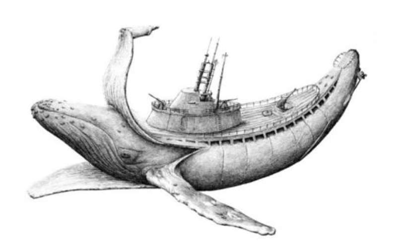 创意鲸鱼邮轮素描
