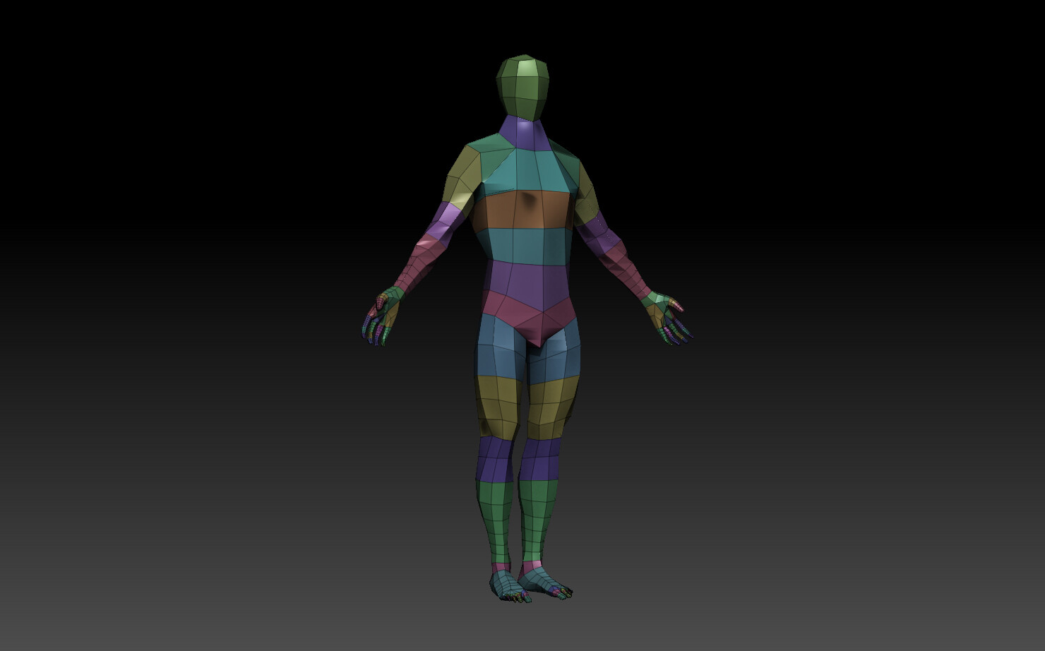 绘画人体3D结构
