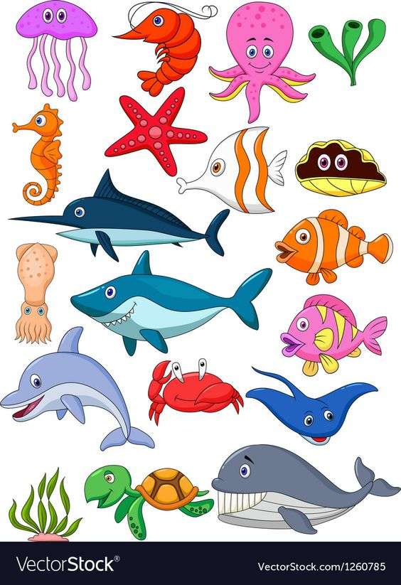 海洋里哪些各种小动物绘画集合