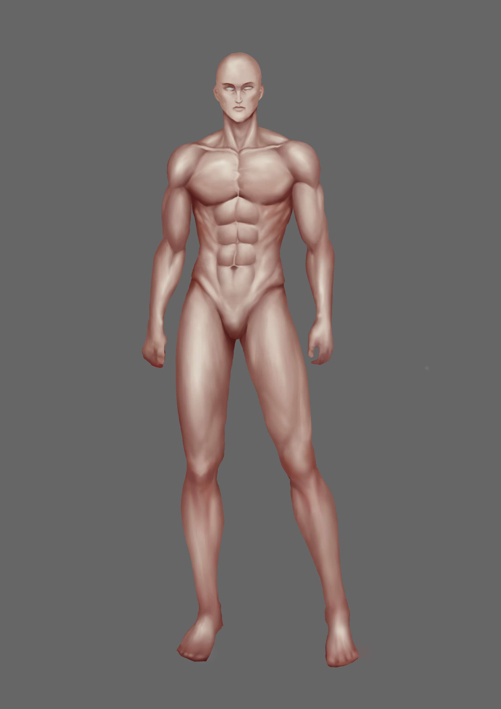 男性完整人体肌肉绘画素材