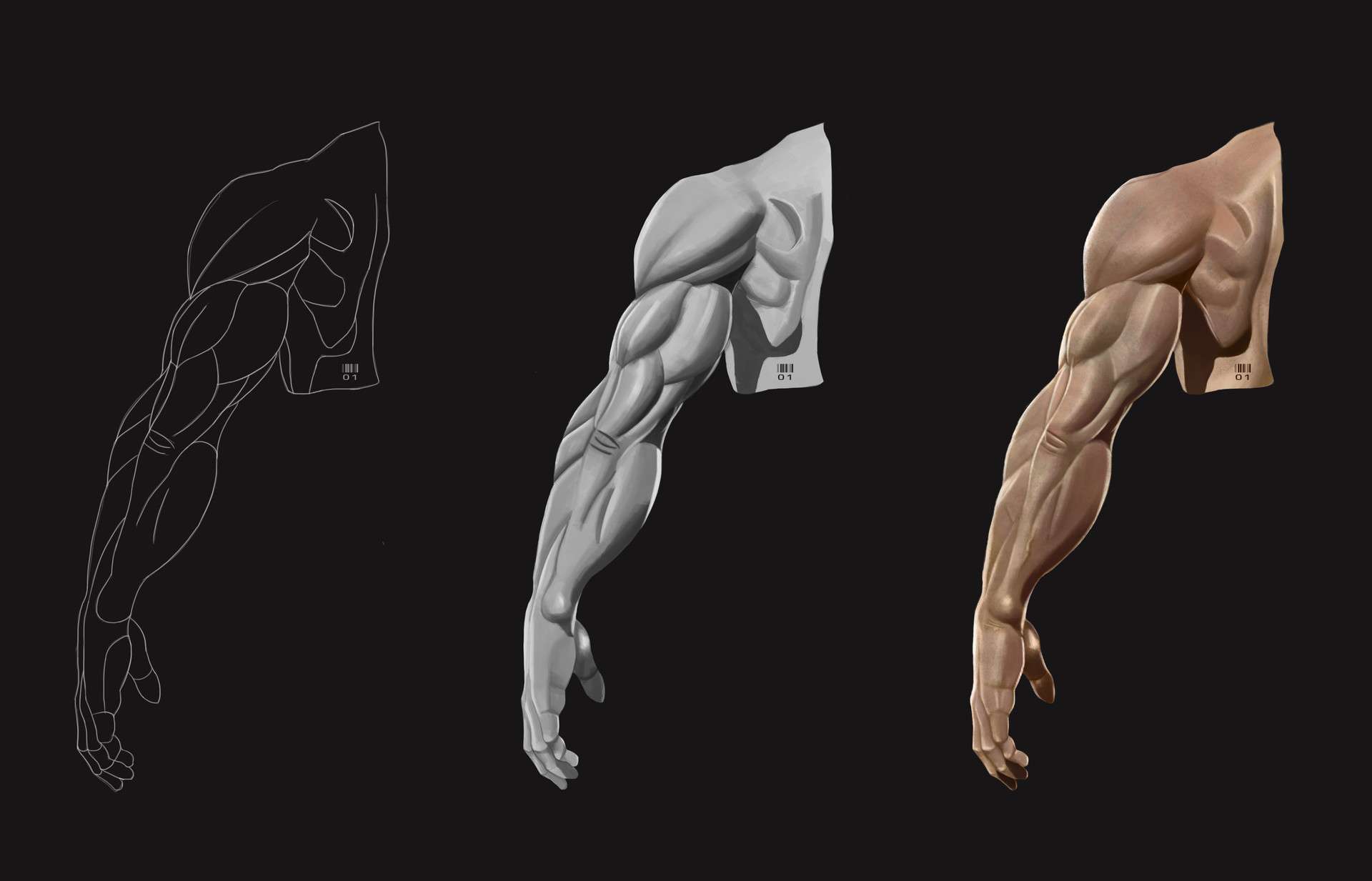 男性右手臂肌肉怎么画