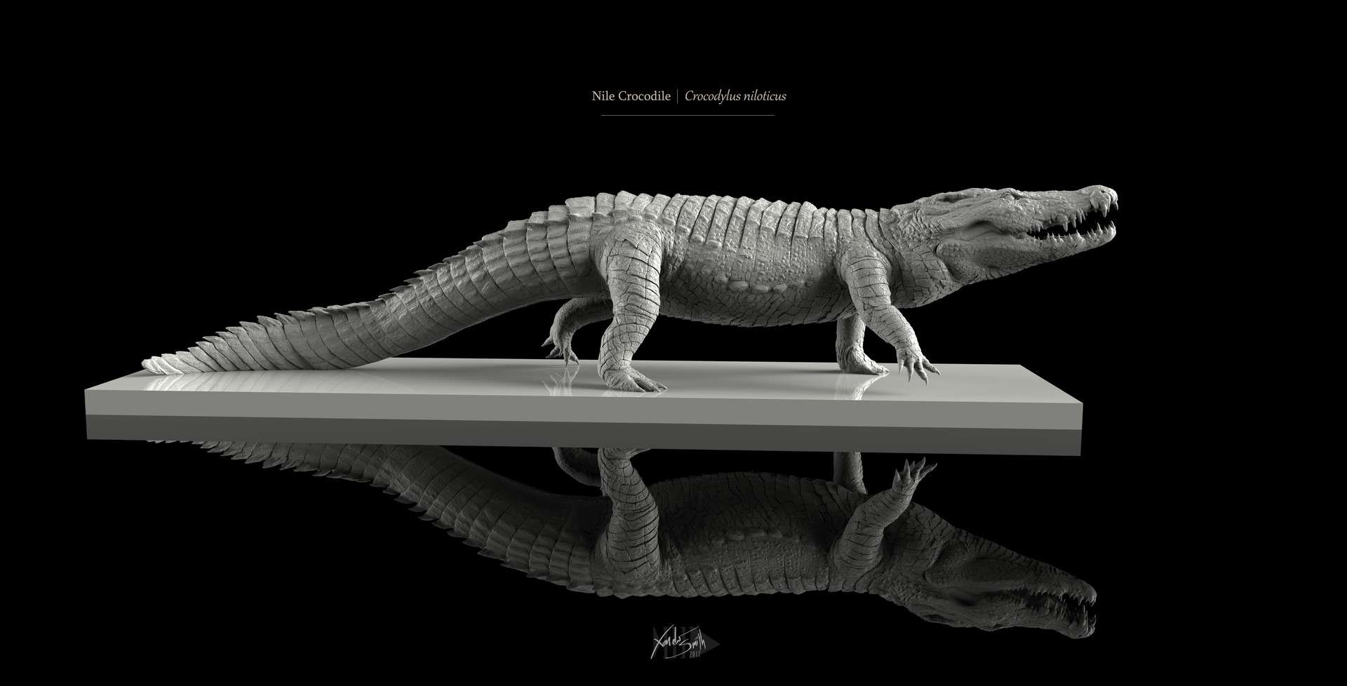 鳄鱼3D模型绘画素材
