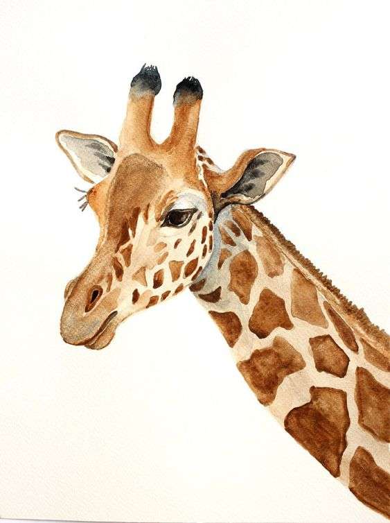 你可以用水彩画一只长颈鹿吗