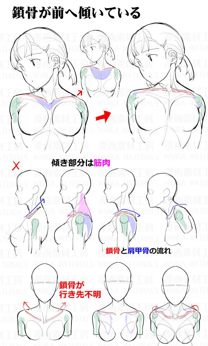 女性胸部的绘画问题