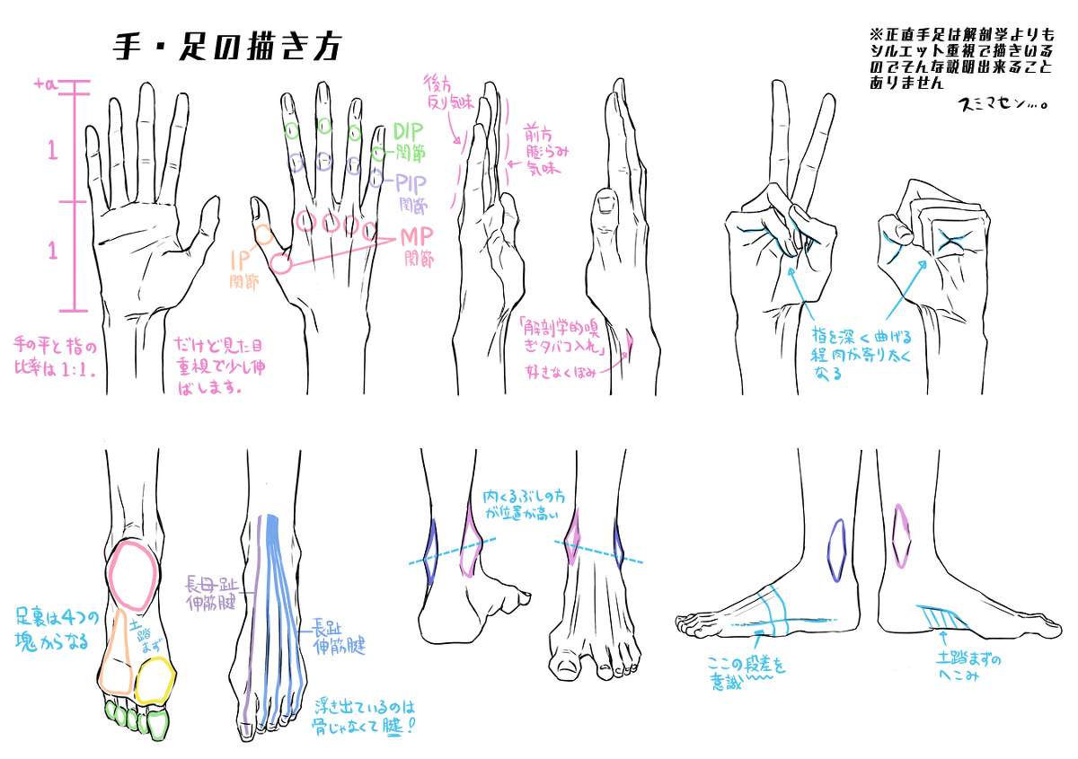 动漫人体绘画骨骼肌肉解析