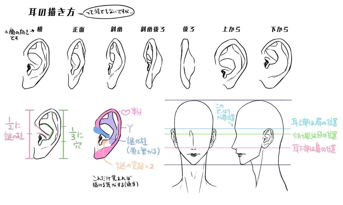 动漫人体绘画骨骼肌肉解析