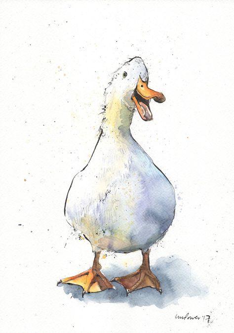 各种小鸭子的绘画素材
