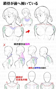 女性胸部的绘画问题