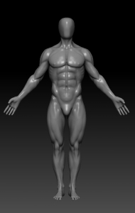 绘画人体3D结构