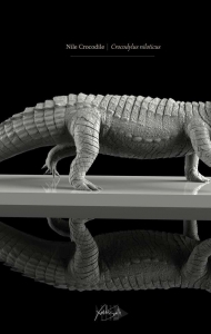 鳄鱼3D模型绘画素材