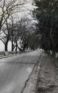 20种雨点、雨滴PS画笔