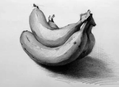 素描香蕉的结构步骤画法