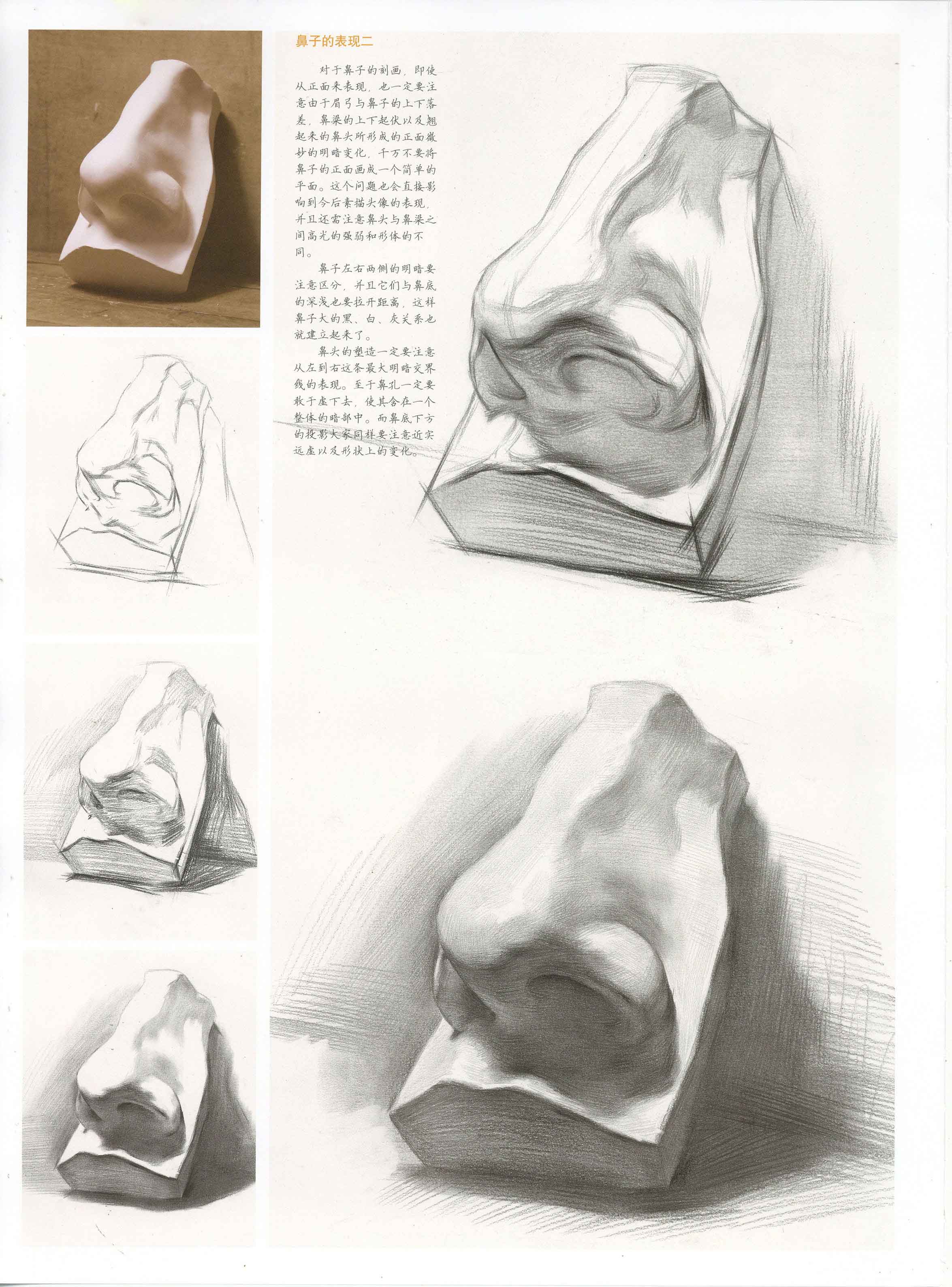 素描人像笔记之鼻子、嘴、耳朵练习|纯艺术|绘画|安紫铭 - 原创作品 - 站酷 (ZCOOL)