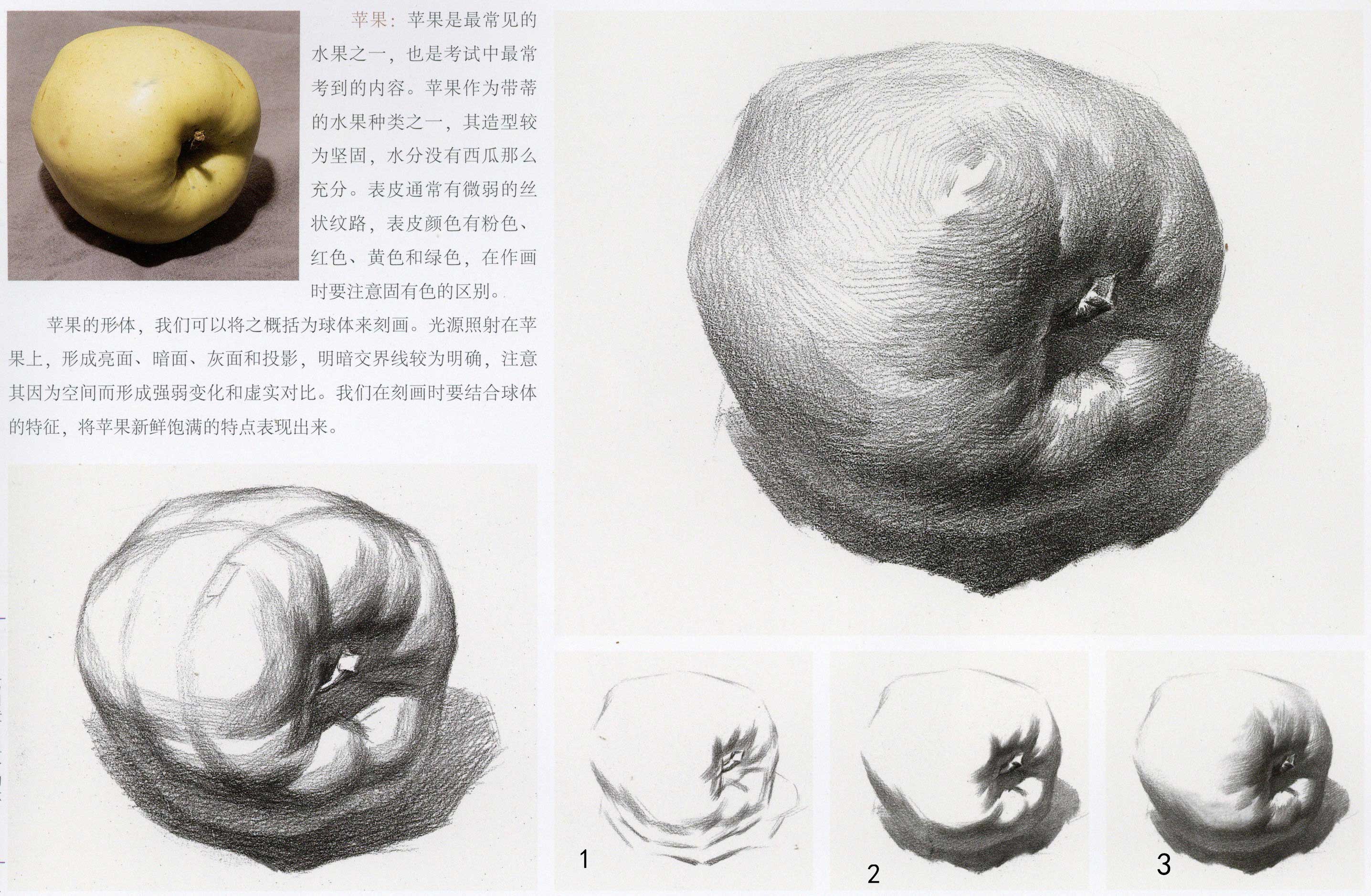 素描苹果 - 堆糖，美图壁纸兴趣社区