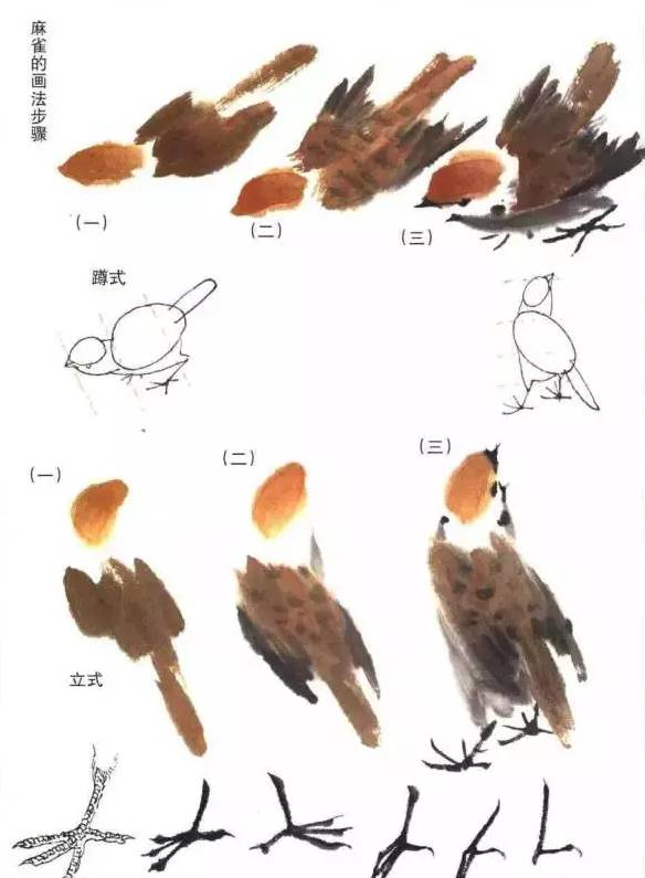 如何画麻雀详细教程，整体结构都很明确国画