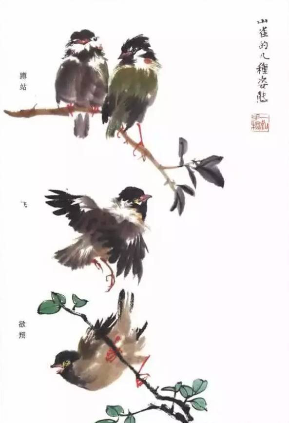 如何画麻雀详细教程，整体结构都很明确国画