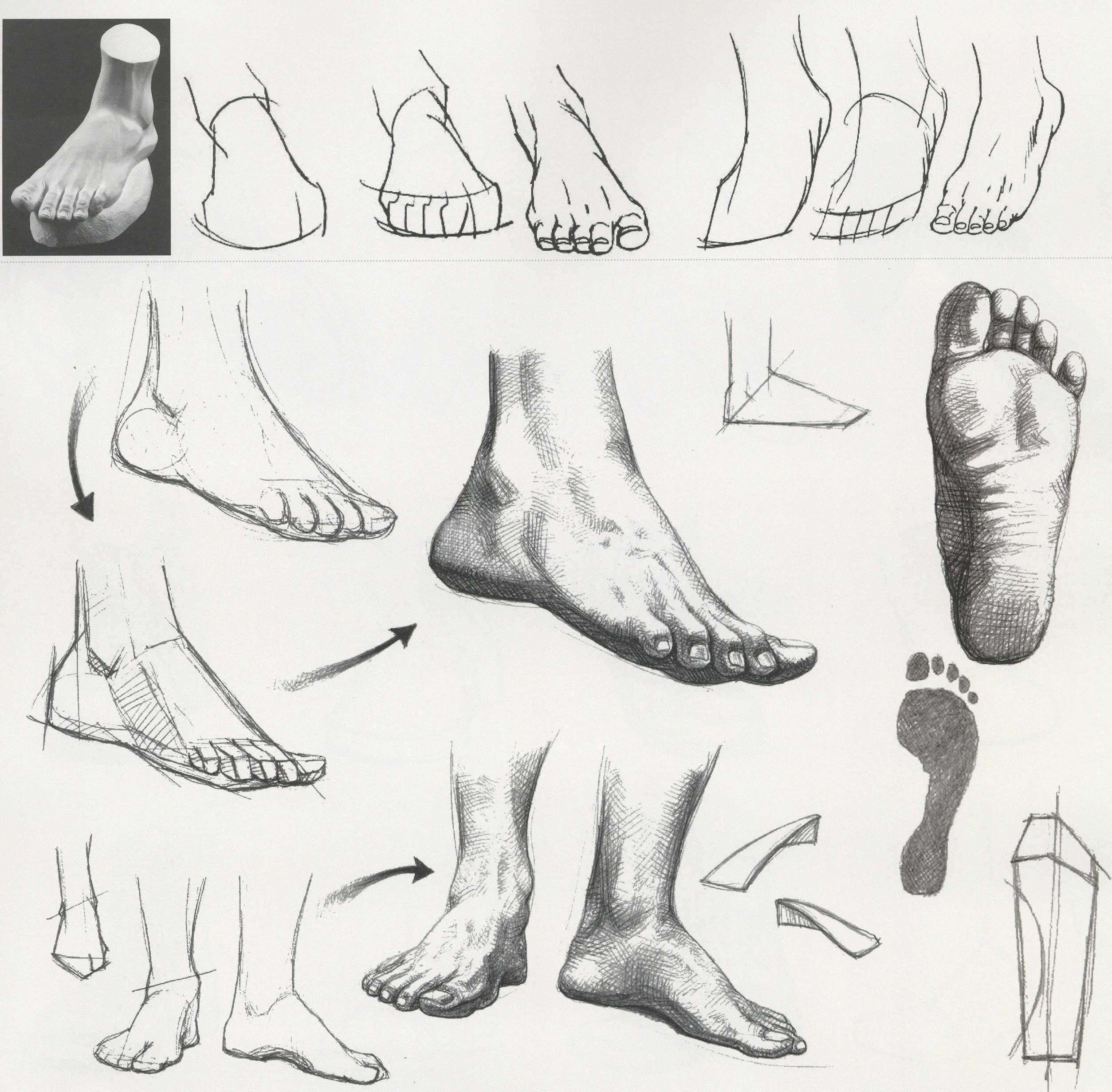 脚怎么画？一组案例教你正确素描画脚+鞋子-一个老实人
