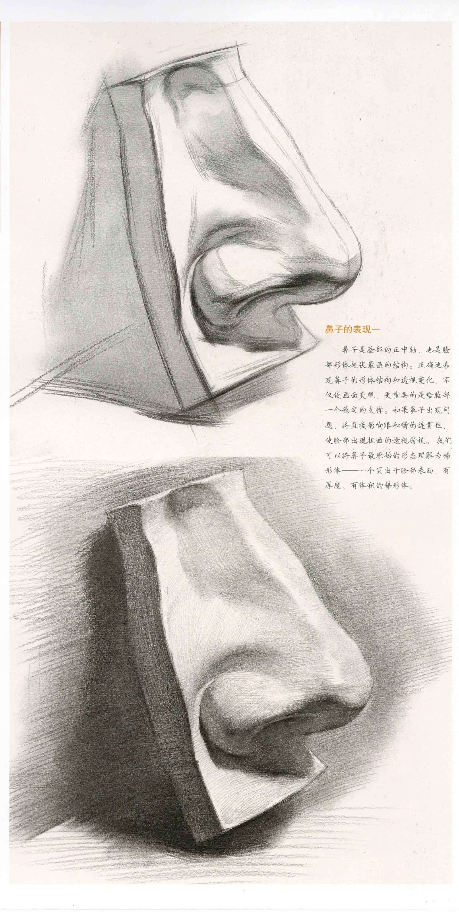 不同款式的鼻子-零基础学会表情包绘制 - 绘画插画教程_PS（CC2017），数位板 - 虎课网