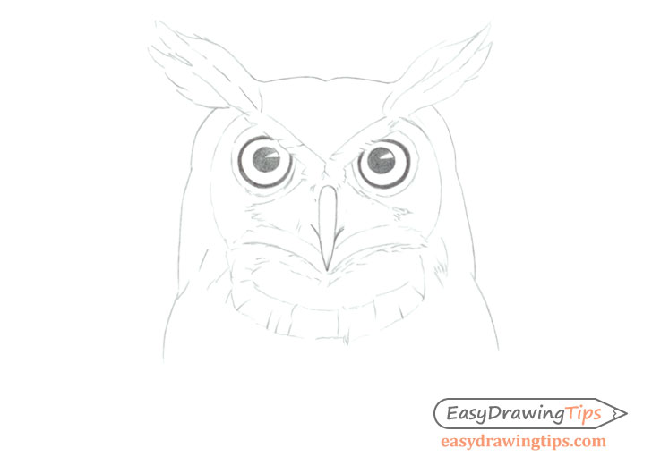 如何逐步画出猫头鹰的脸和头