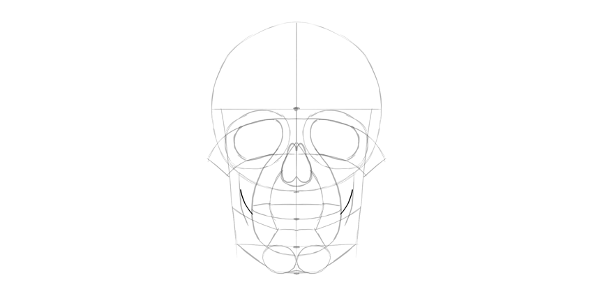 人的头骨详细绘画结构教程