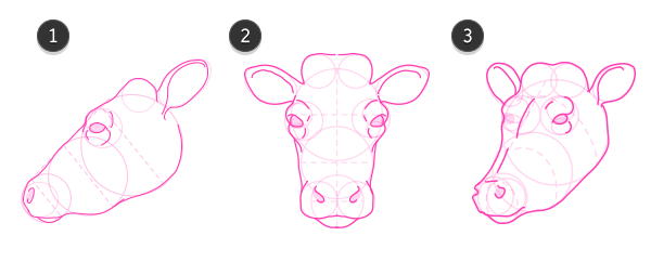 牛的身体部位头、鼻子、眼睛、耳朵、蹄子怎么画？