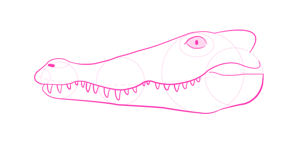 怎么画鳄鱼？真实的鳄鱼分解绘画教程