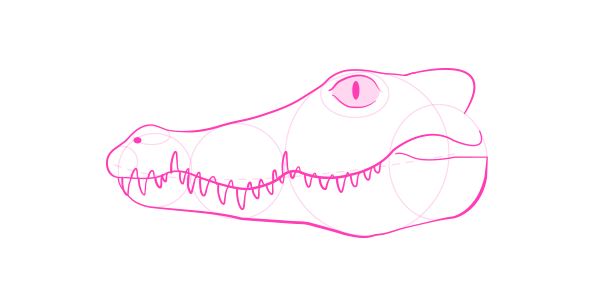 怎么画鳄鱼？真实的鳄鱼分解绘画教程