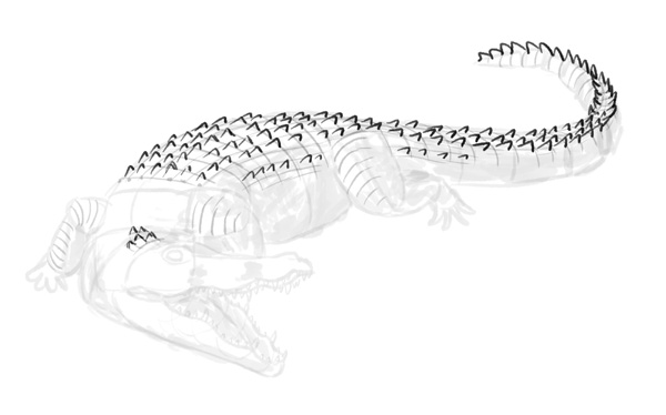 怎么画鳄鱼？真实的鳄鱼分解绘画教程