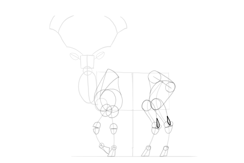 如何画一只麋鹿详细教程