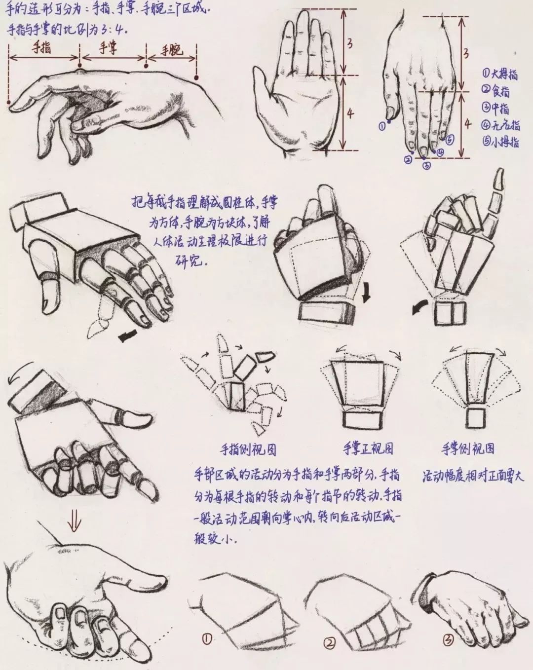 初学者硬笔书法入门教程二（握笔姿势） - 知乎