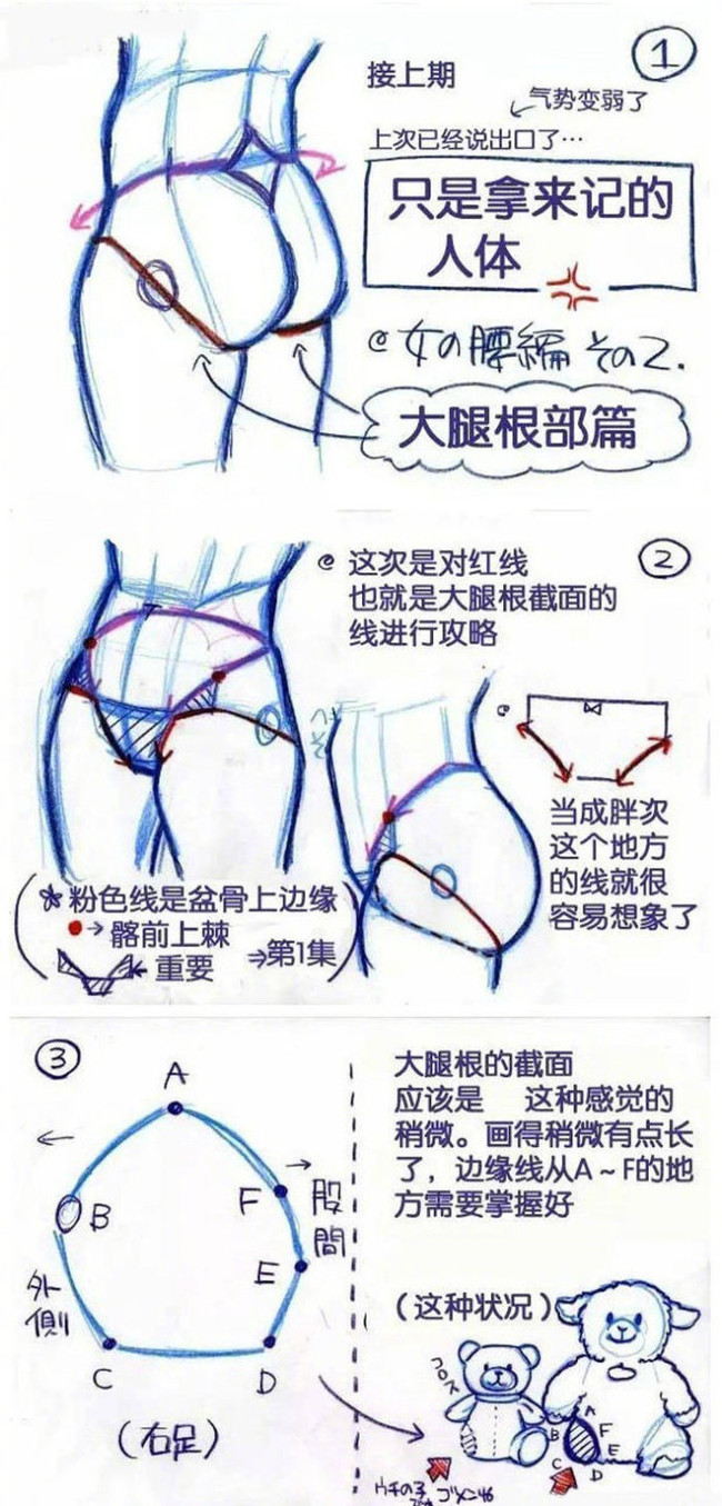 动漫屁股臀部画法讲解