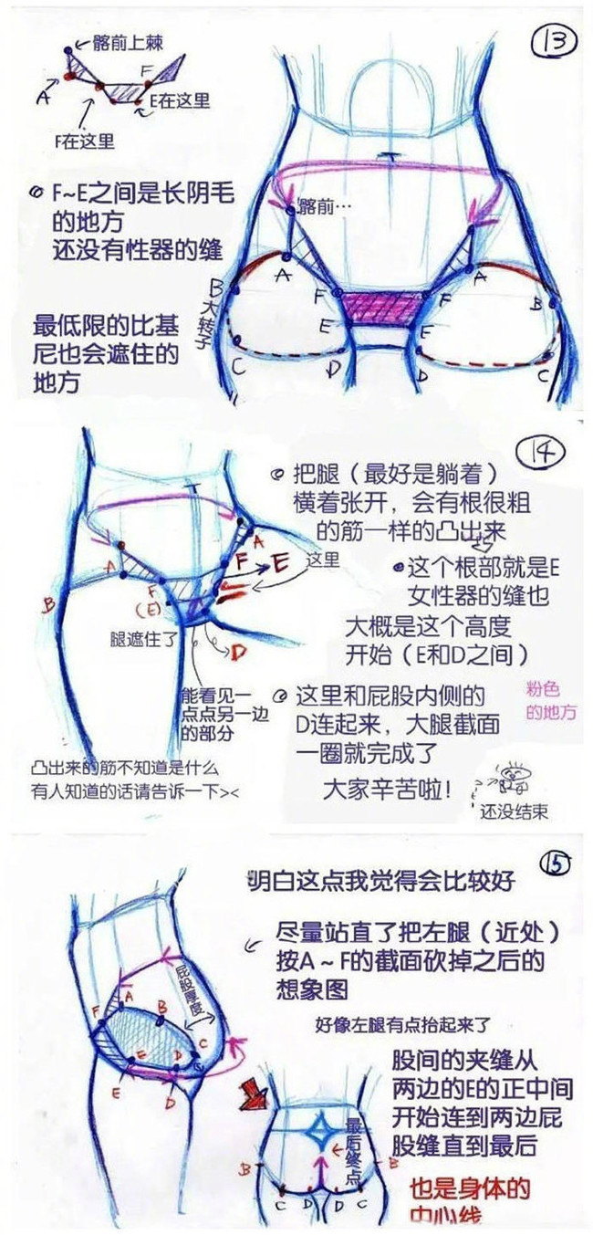 动漫屁股臀部画法讲解