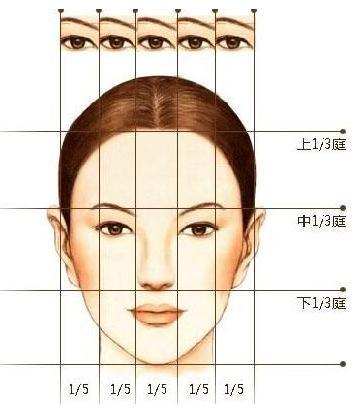 面部比例：素描中三庭五眼的美学标准简单了解