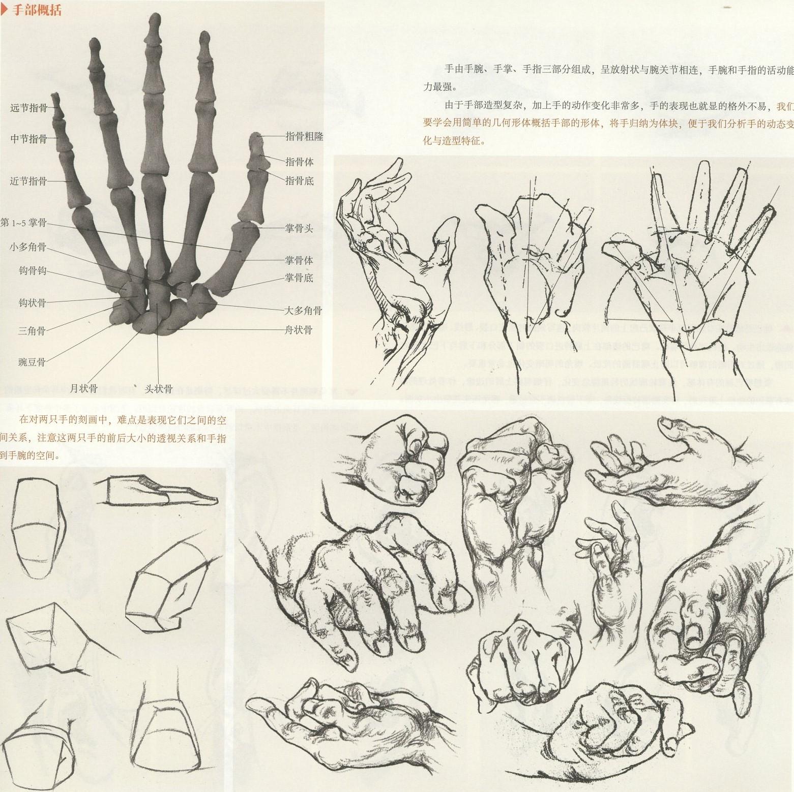 步步教学静物结构素描优秀范画欣赏-露西学画画